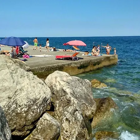 Puntarka *